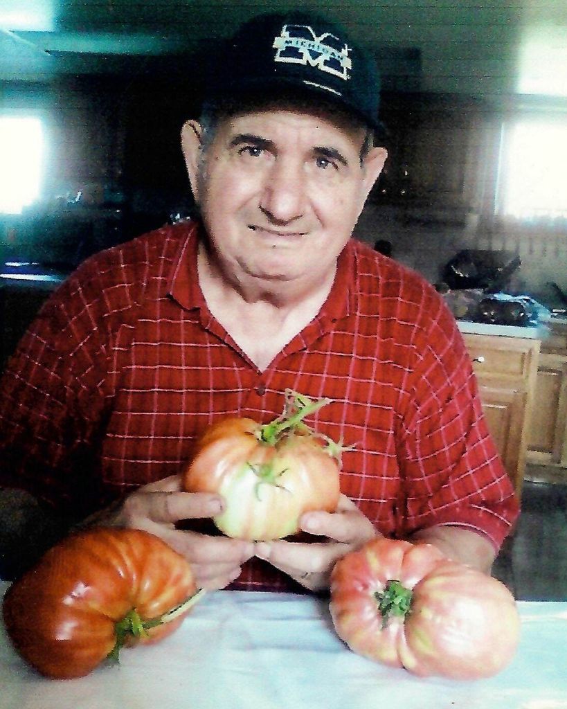 Baldassare Di Pasquale Profile Photo