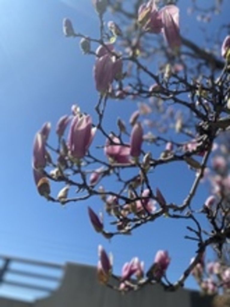 Barbara Jane Wilson Profile Photo