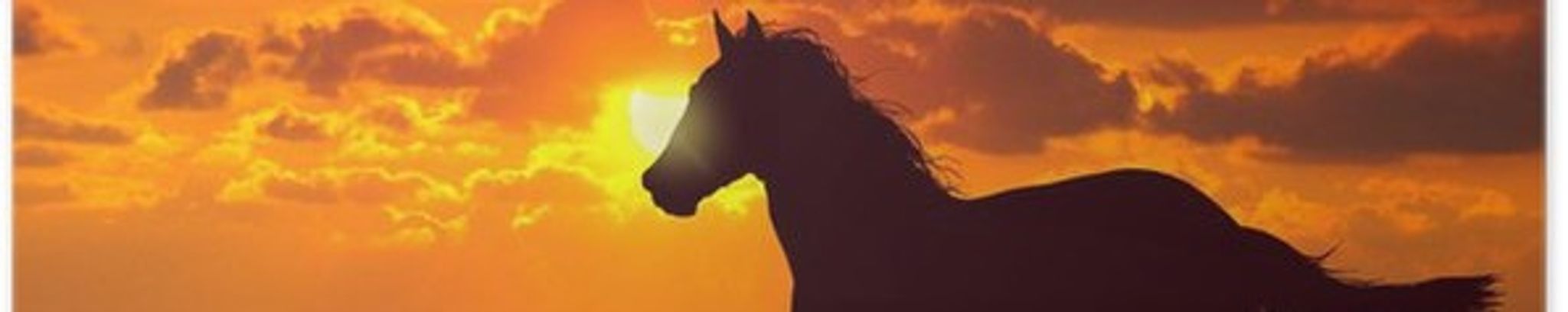 Cover for Viola Joyce Wiggins's Obituary