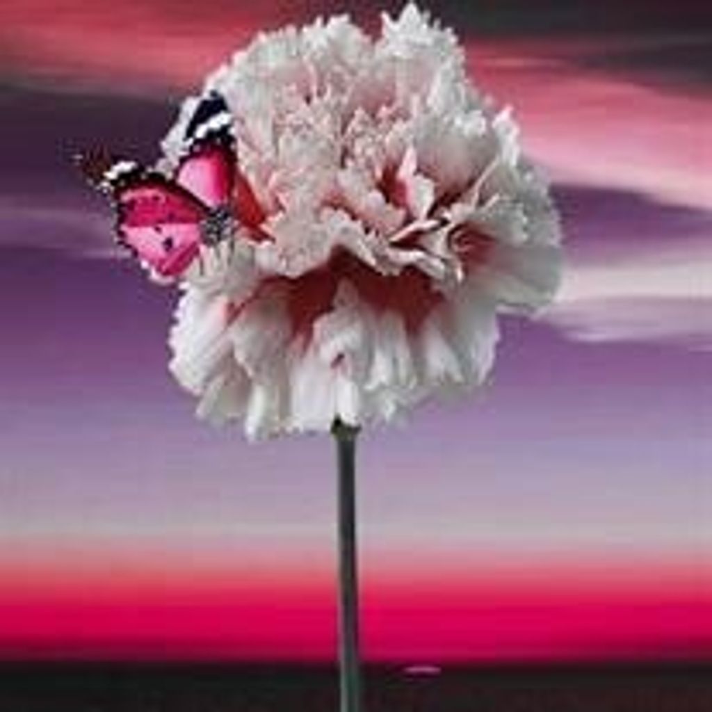 Karen Sue Curtis