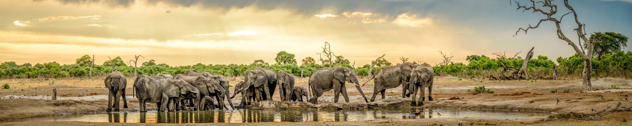 Cover for James Garbarino's Obituary