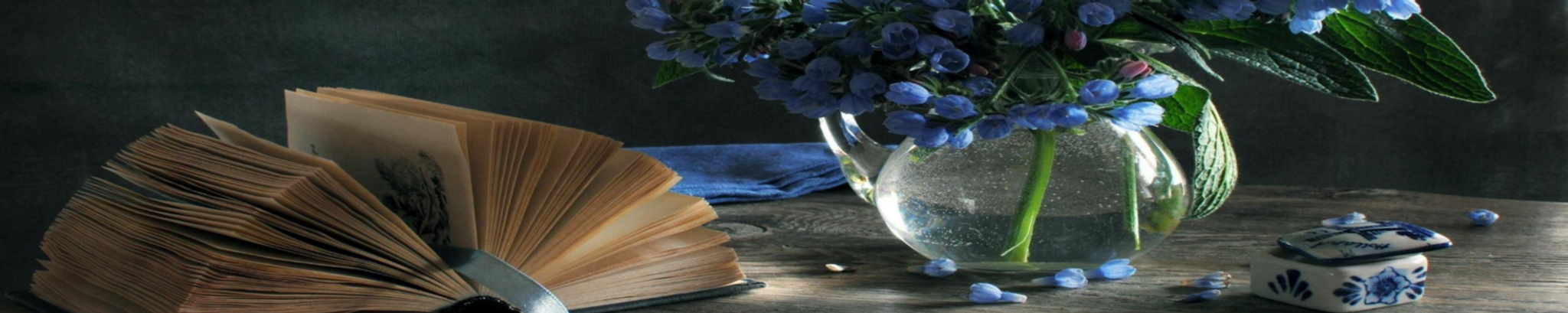 Cover photo for Rebecca Duncan Currin Dickerson's Obituary