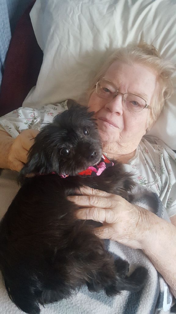 Janice "Jan" Louise Maull