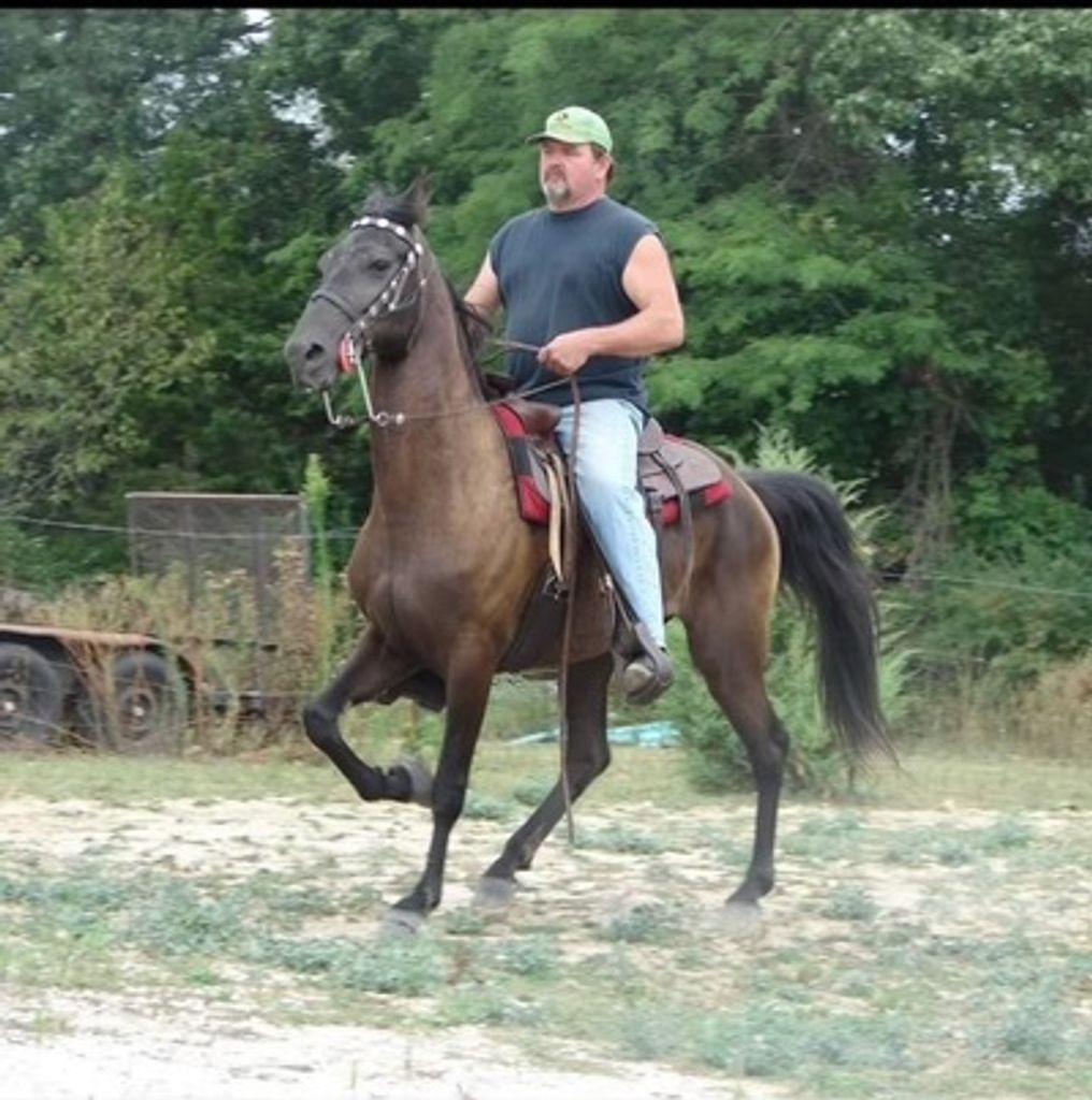 Fred Gunter Profile Photo