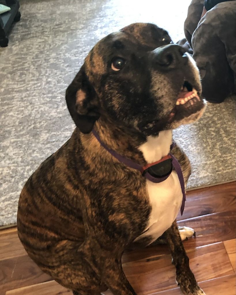 Stella Ralston Profile Photo