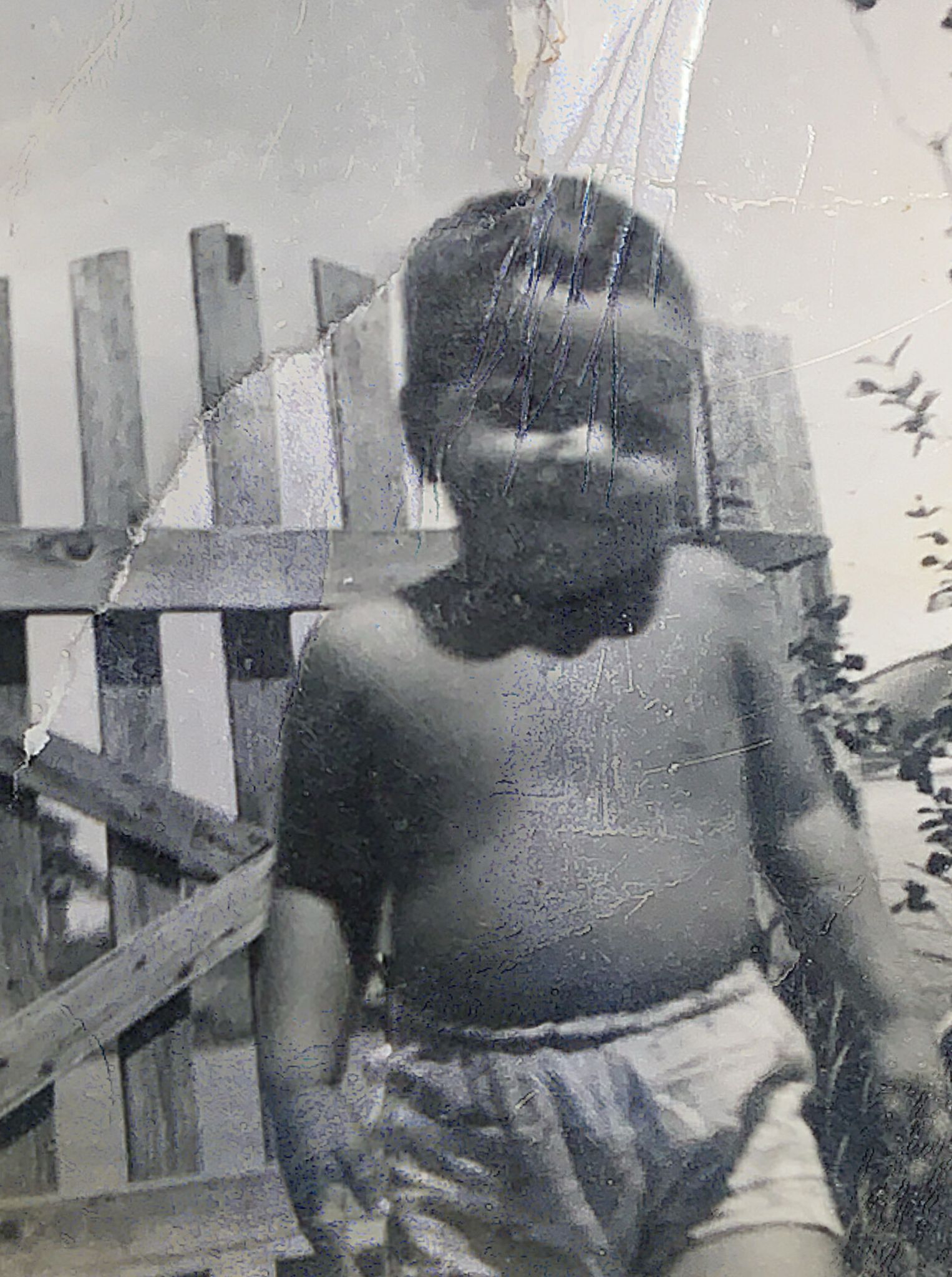 Ricardo H Davila photo gallery image 2 of 76