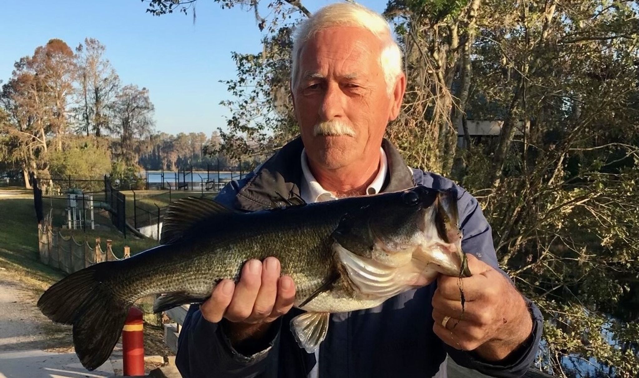 Cover for Dennis A. Rapp's Obituary