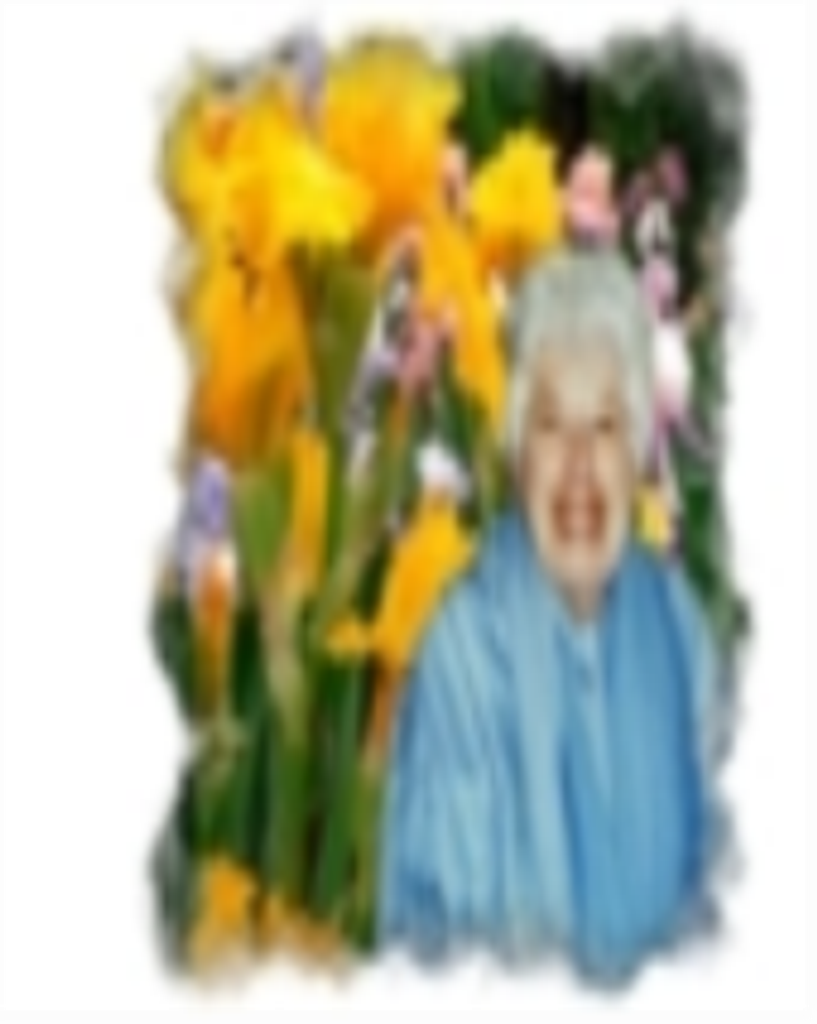 Helen C. Wightman Profile Photo