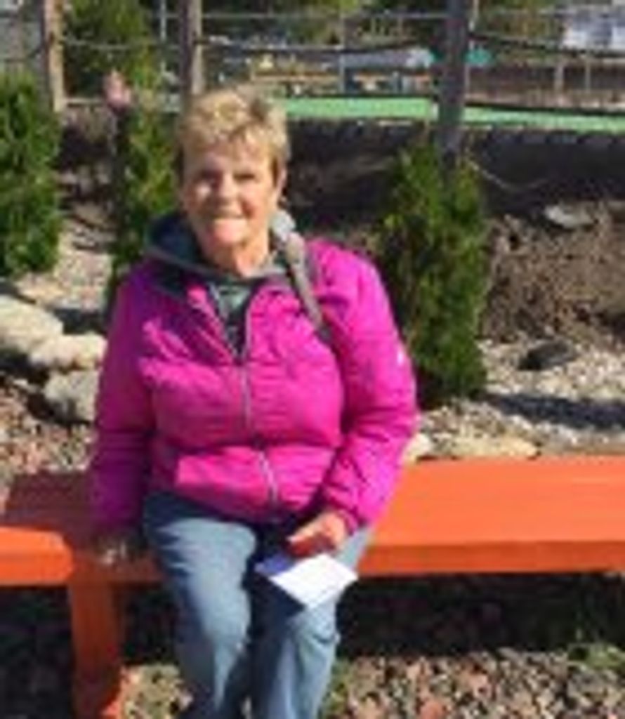 Vicki L. (Ostrom) Anderson Profile Photo
