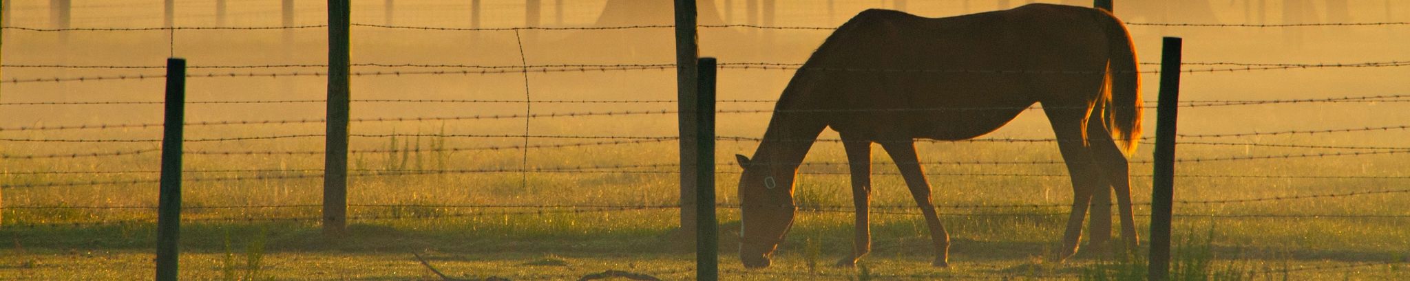 Cover for Anthony Lewis Quinn's Obituary
