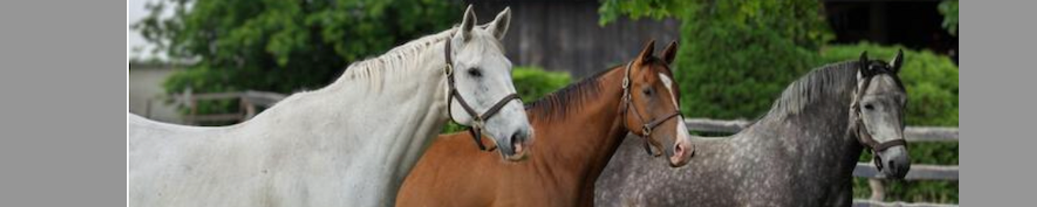 Cover for Reta M. BARLOW's Obituary
