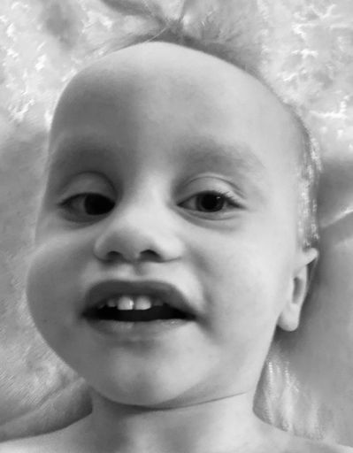 Roman Drake Price Profile Photo