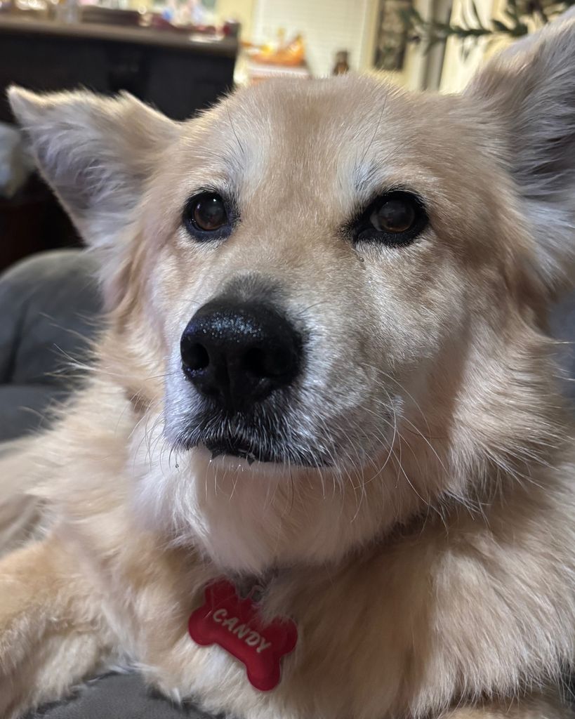 Candy Profile Photo