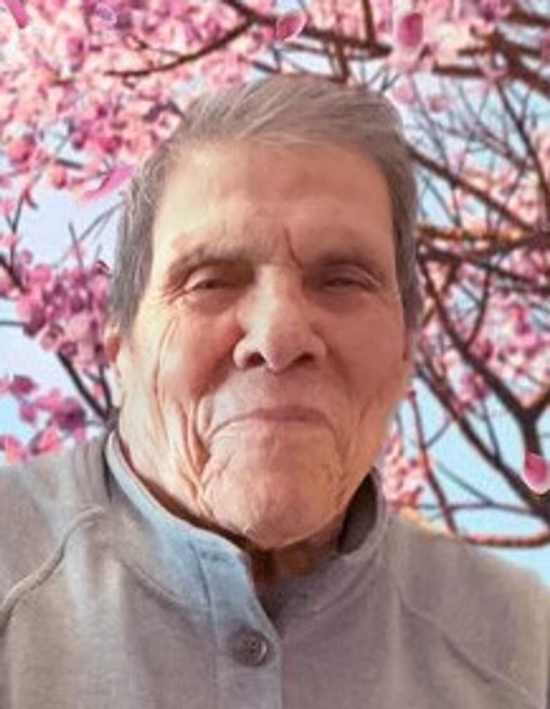 Reynaldo Davalos Mendoza