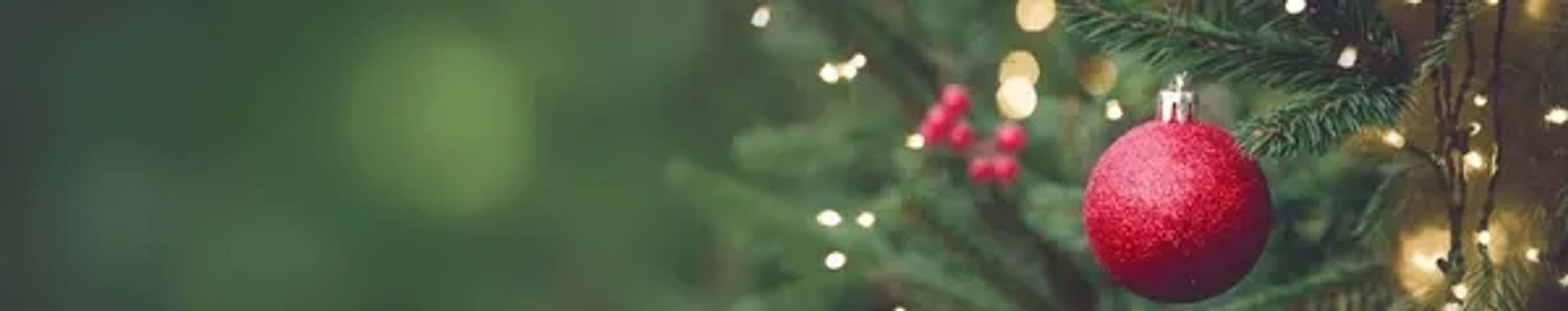 Cover for Dayna Lee Bird's Obituary