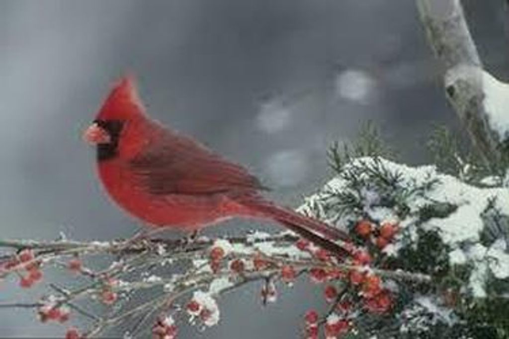 Evelyn Smoke Rendleman Profile Photo