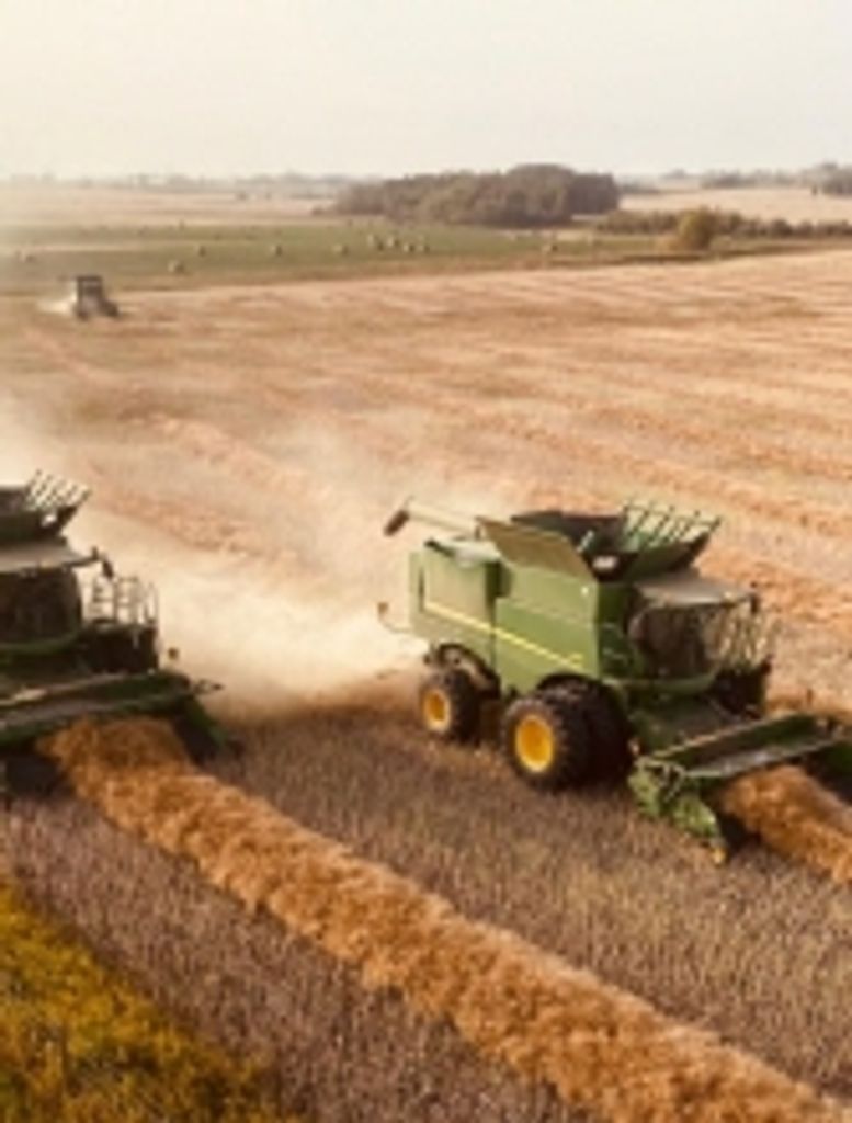 Wayne Ellis Toews Profile Photo