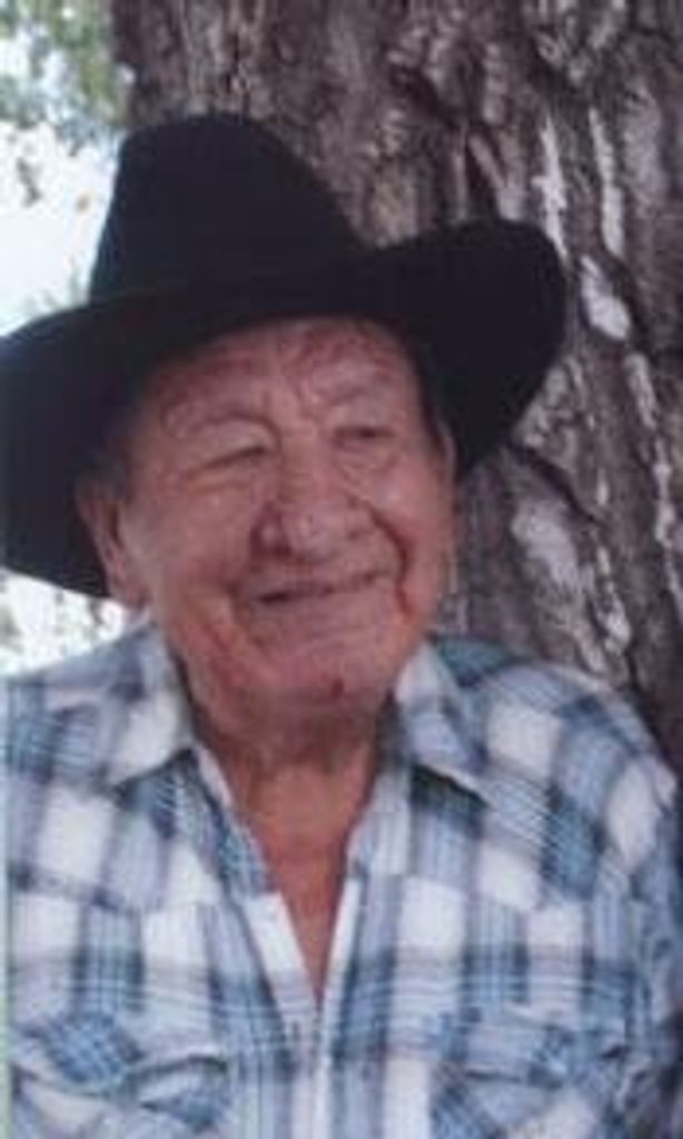 David J Yellow Earrings