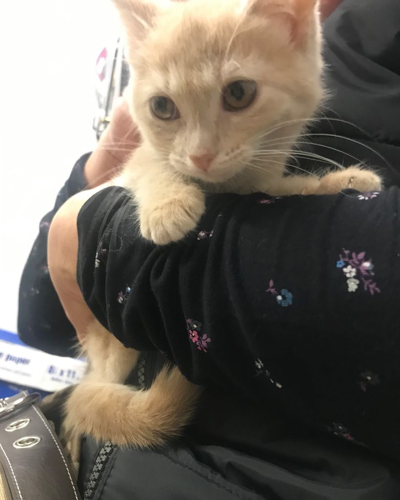 Hermione Profile Photo