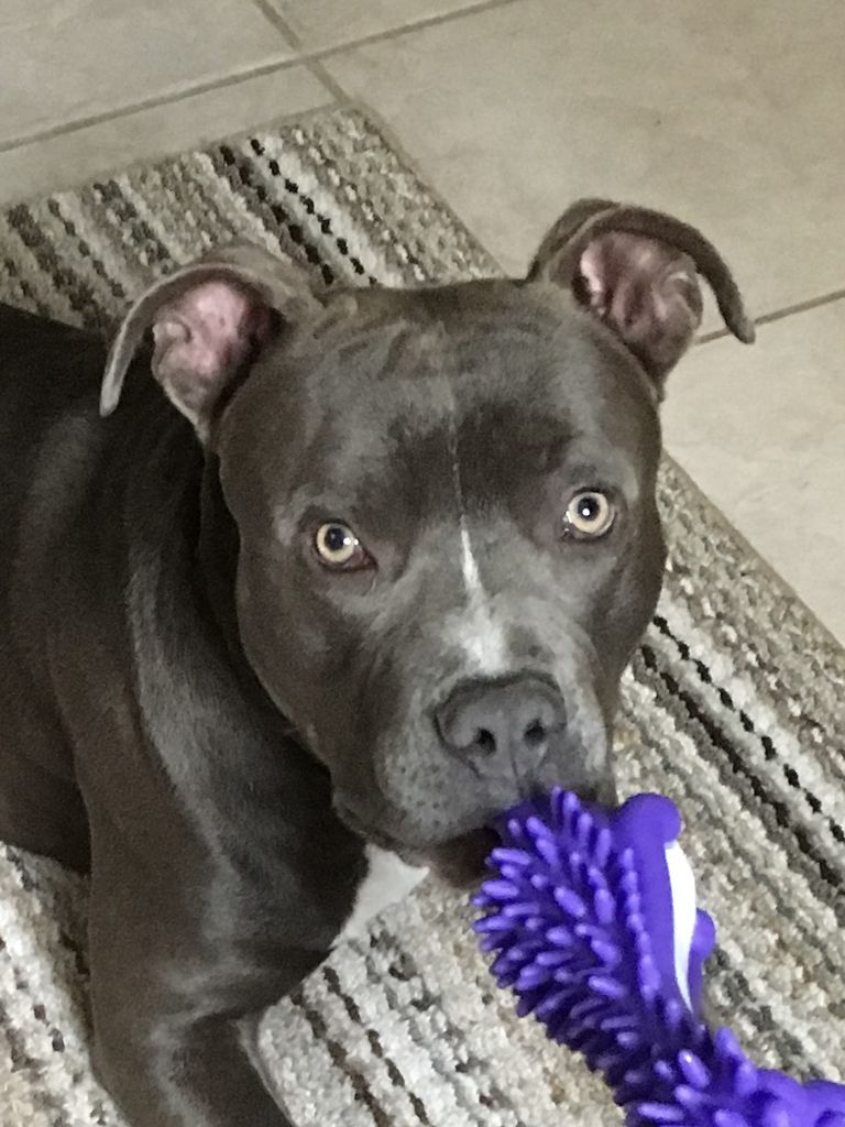 Zeus Profile Photo