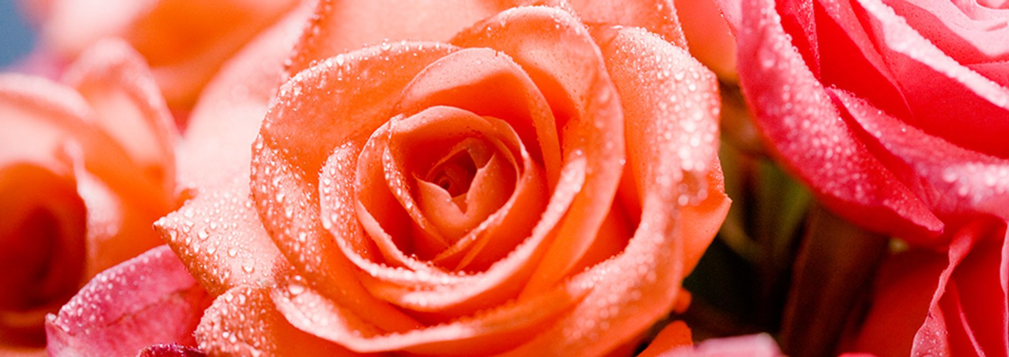 Cover for Barbara Ann Carter's Obituary