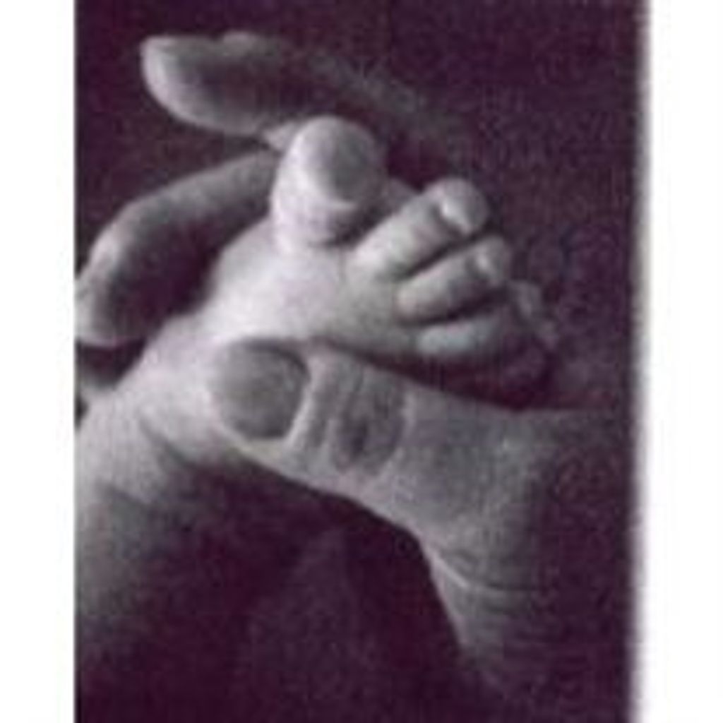 Daniel Jose Catillo Hernandez