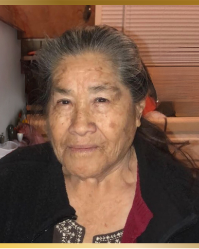 Teresa Ramirez-Piña's obituary image