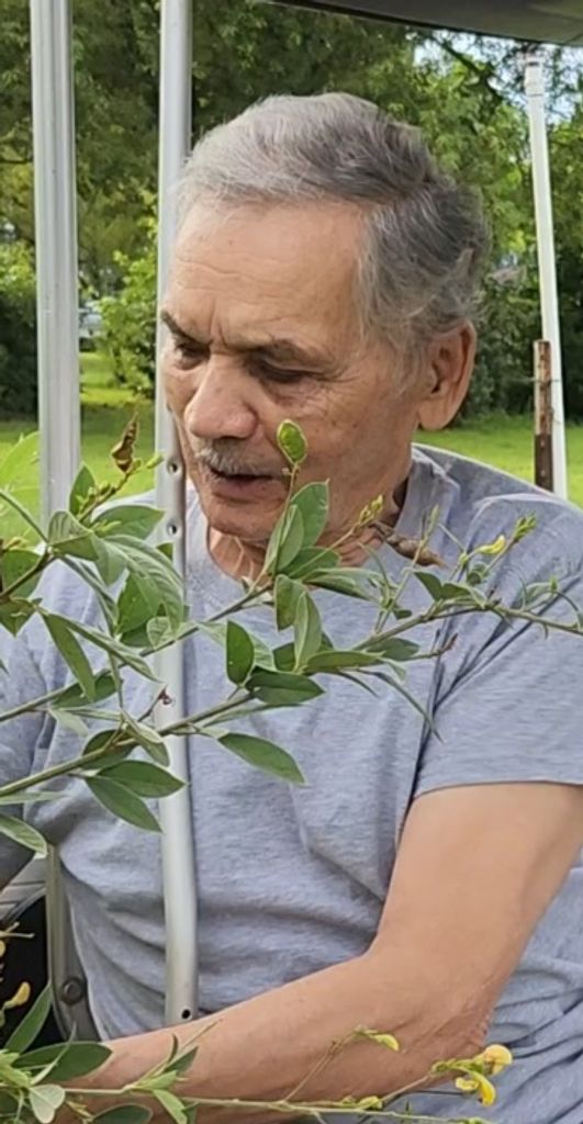 Manuel Solá