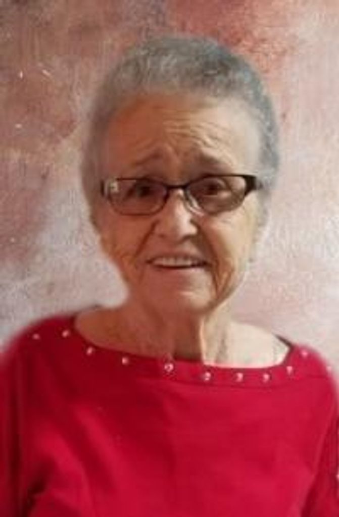 Patricia  Ann Schlenker