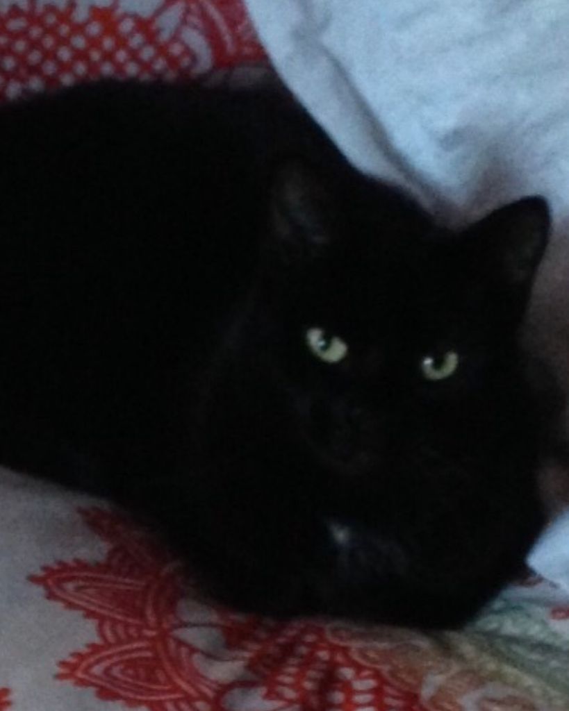 Morticia Bruce Profile Photo