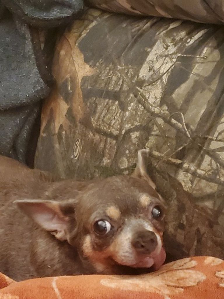 Ruby Murchison Profile Photo