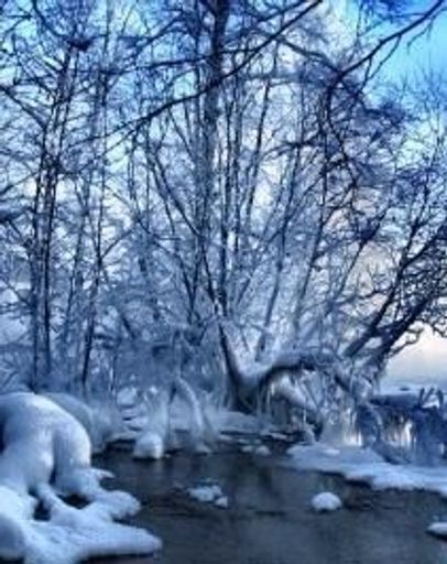 John Wood Profile Photo