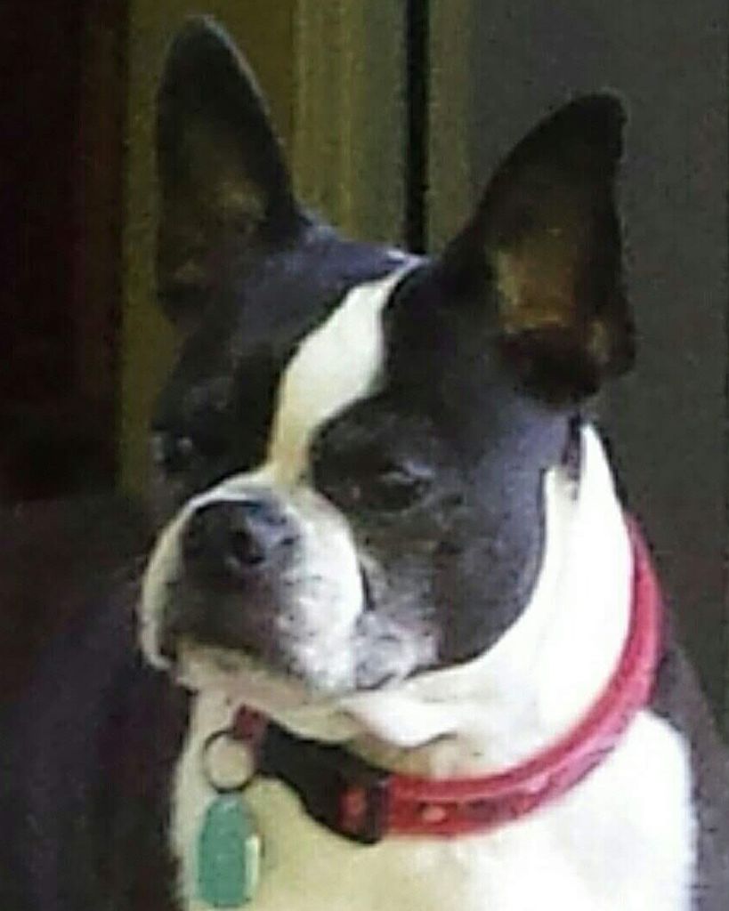 Josie Wales King Profile Photo