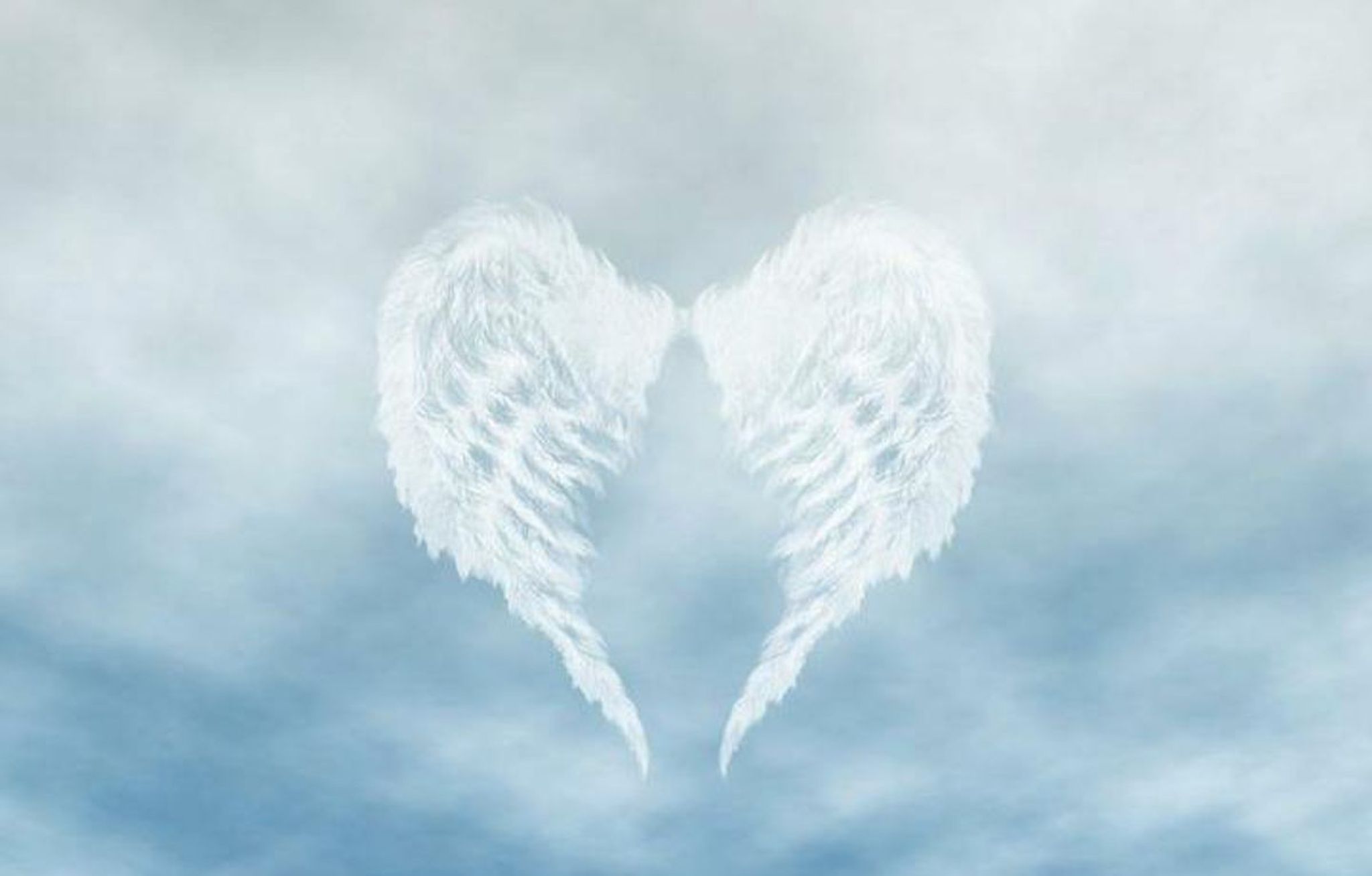Cover photo for Niko Lee Crosby's Obituary