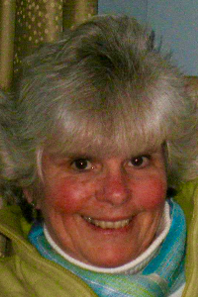 Ann C. (Ryan) Paulsen Profile Photo