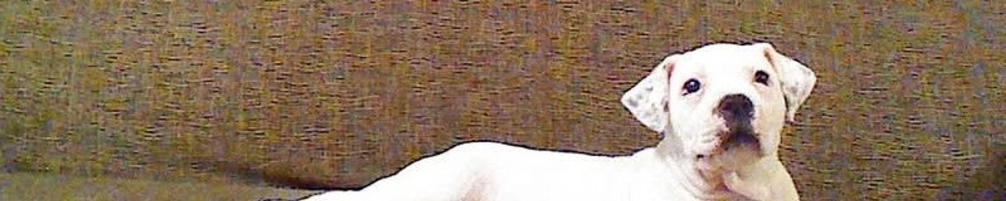 Cover for Candy Horsley's Obituary