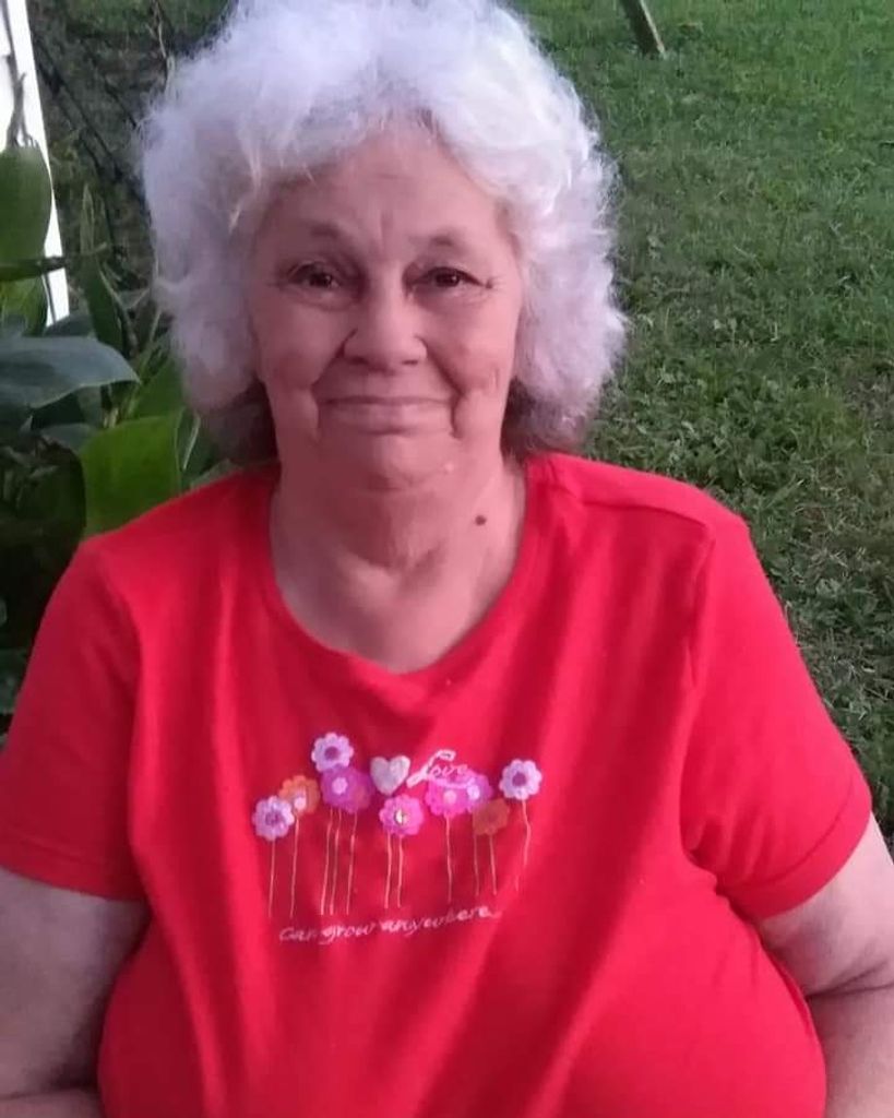 Dorothy Ann Mealer