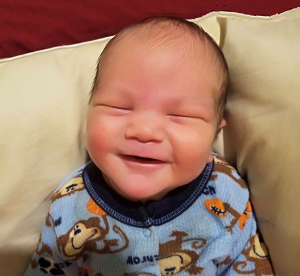 Maximus Leo Voyles