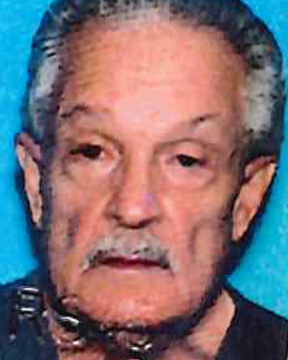 Raymond John Striano's obituary image