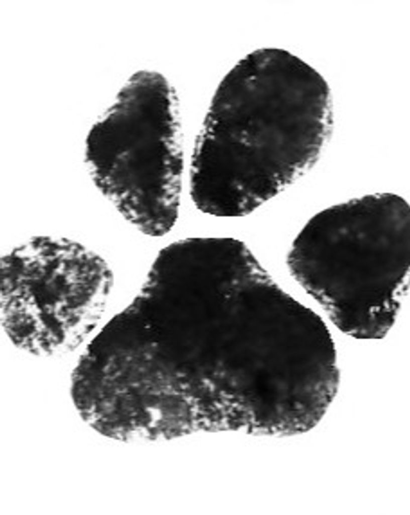 Coco Chanel Clark Profile Photo