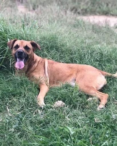 Atilla ?'s obituary image