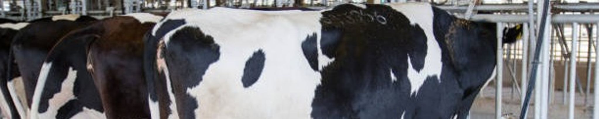 Cover photo for Charles F. Mertens's Obituary