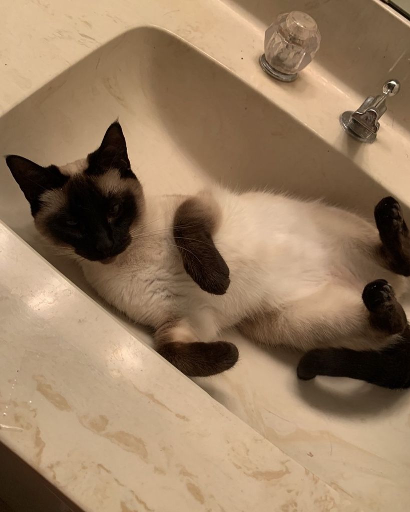 Zelda "Baby" Mora