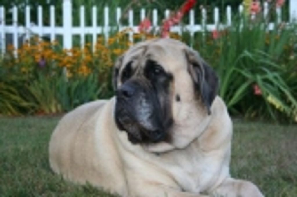 Anna Schrepper Profile Photo