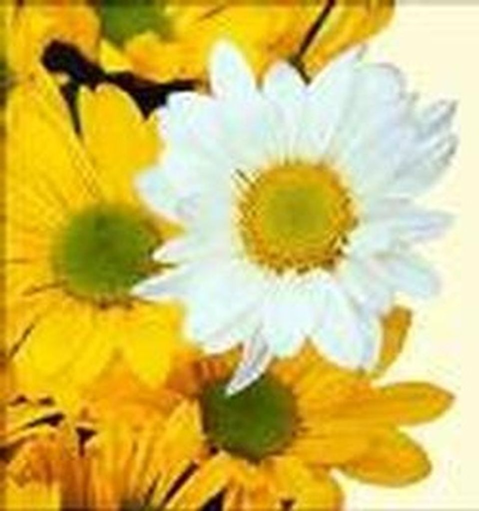 Dorothy E. Martin