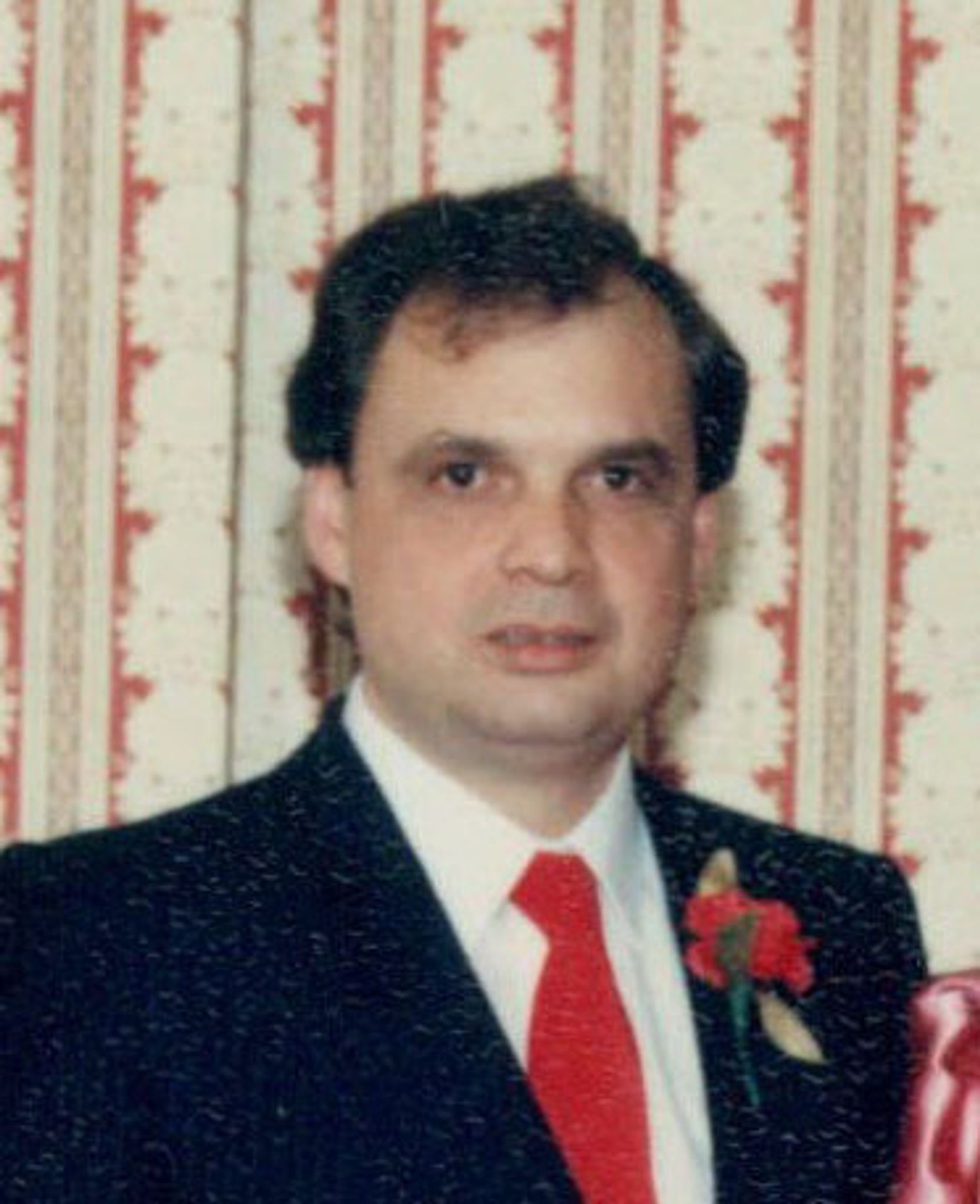 Gino Bucci photo gallery image 1 of 1