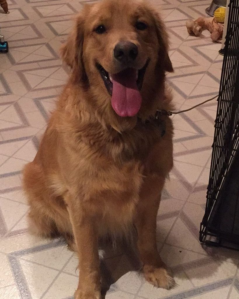 Digger Profile Photo
