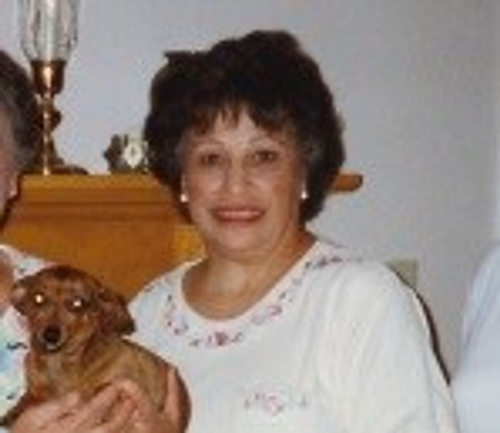 Andrea Vaccaro Profile Photo