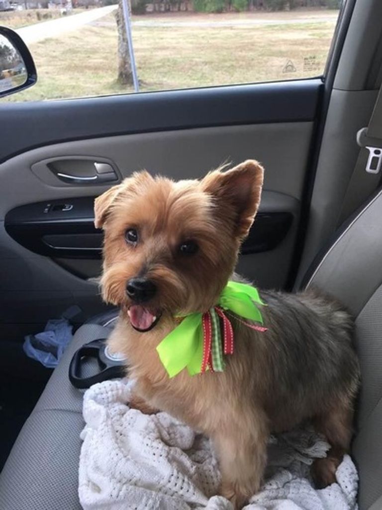 Todoe Wilson Profile Photo