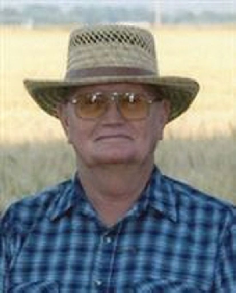 Merlin Stoddard